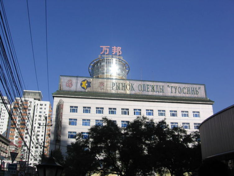Из Томска в Китай, 2008