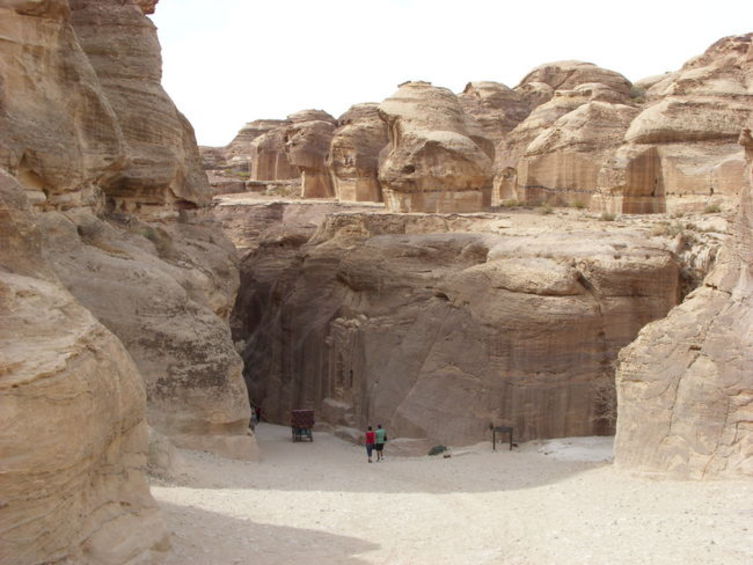 Из Томска в Египет, 2008