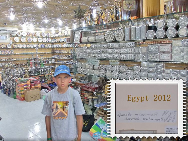 Из Томска в Египет, 2013