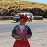 Из Томска в Перу, 2008
