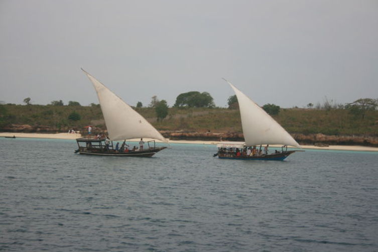 Из Томска в Танзания, 2011
