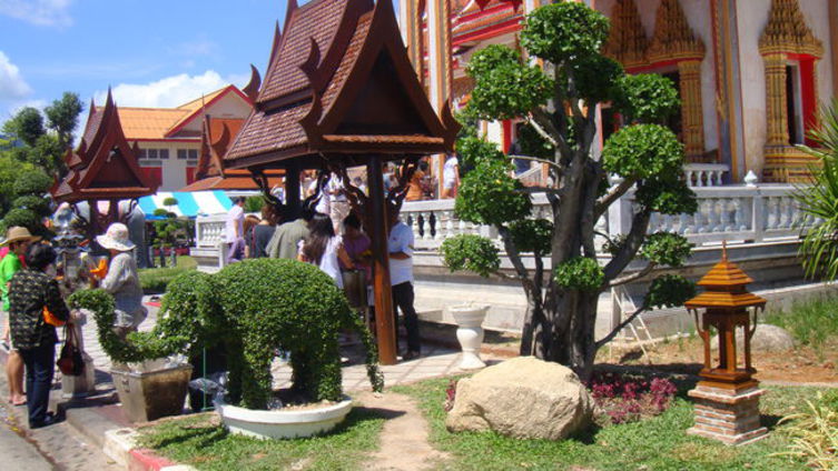 Из Томска в Таиланд, 2011