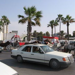 Из Томска в Тунис, 2009